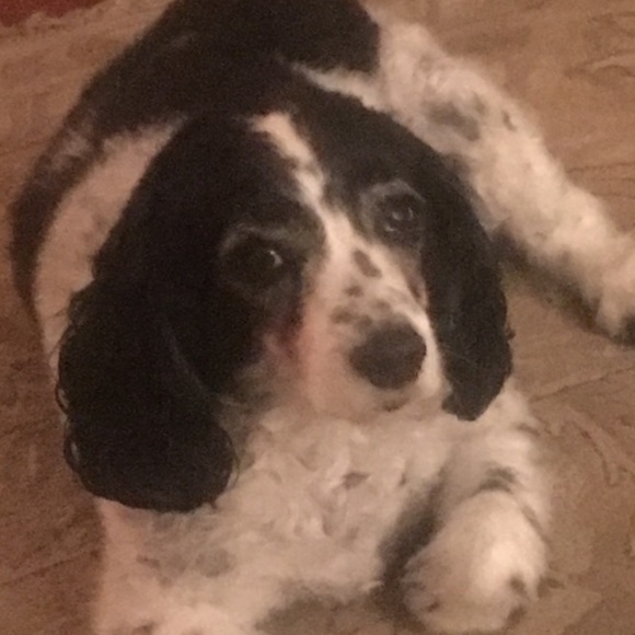 Meet your Posher, Sandra - Picture 1 of 1